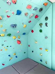 there is a climbing wall in the room