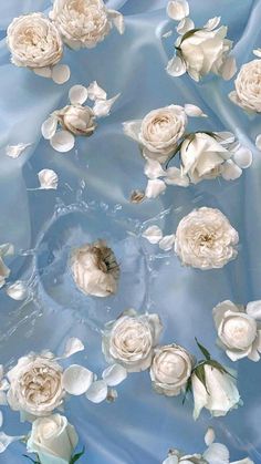 white flowers floating in the water on a blue background