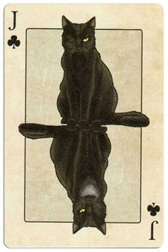 a black cat sitting on top of a playing card