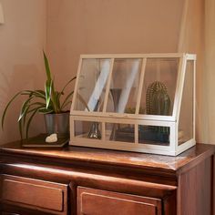 a wooden dresser topped with a glass case filled with plants