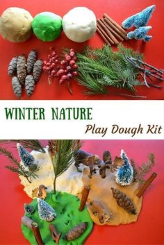 winter nature play dough kit with pine cones, evergreens and other decorations on a red surface