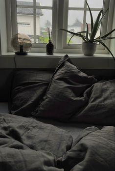 an unmade bed in front of a window with plants on the windowsills