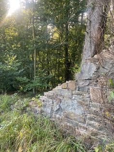 an old stone wall in the woods