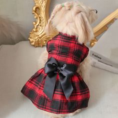 a small dog wearing a red and black dress with a bow on it's back