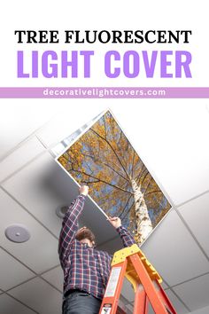 Tree Fluorescent Light Cover Office Trees, Classroom Ceiling, Fluorescent Light Covers, Light Diffuser, Light Panels, Light Filters, Ceiling Tiles, Fluorescent Light, Nature Themed