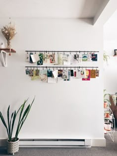 there are many pictures hanging on the wall next to a potted plant and some bookshelves