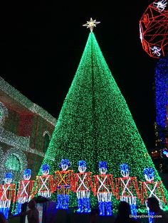 a large christmas tree is lit up at night