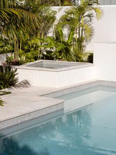 an empty swimming pool surrounded by greenery and palm trees in a home garden area