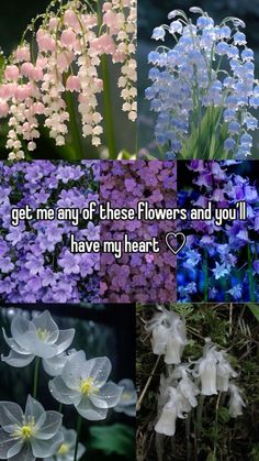 Lily Of The Valley Reference Photo, The Lily Of The Valley, Lily Of The Valley Aesthetic, Stop Farting, Ghost Flowers, Flower Lily Of The Valley, Skeleton Flowers, Flower Skeleton, Bluebell Flowers