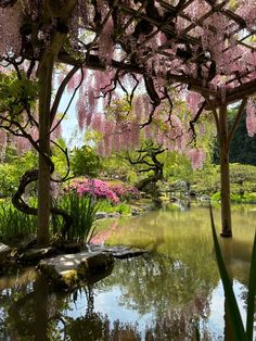 a pond surrounded by trees with pink flowers