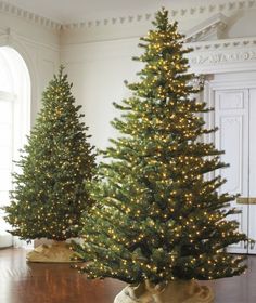 three small christmas trees in a room with wood flooring and white trimmings