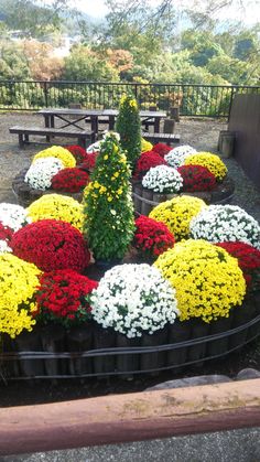 colorful flowers are arranged in the shape of a flowerpot on display at a park