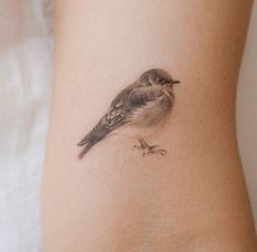 a small bird tattoo on the back of a woman's leg