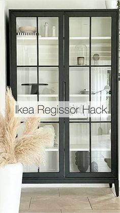 a tall black cabinet with glass doors and some plants in front of it on the floor