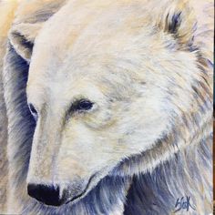 a drawing of a white bear with blue eyes