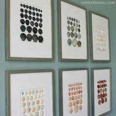 six framed art pieces on the wall with seashells arranged in squares and rectangles