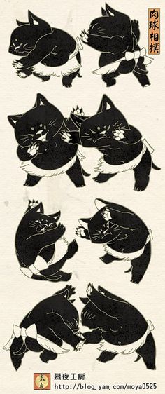 an image of black cats in different positions