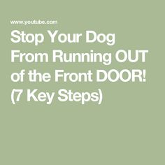 the words stop your dog from running out of the front door 7 key steps on a green background