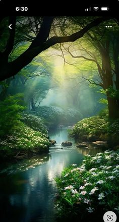 an image of a beautiful forest scene with flowers and stream in the foreground, sunlight streaming through trees