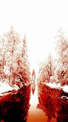 a river surrounded by trees and snow covered ground with red water in the foreground