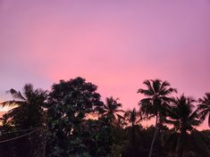 the sky is pink and purple as the sun sets in the distance behind palm trees