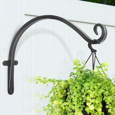 a potted plant hanging from a hook on the side of a white building with green plants in it