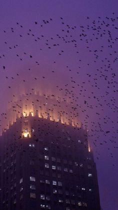 a large flock of birds flying over a tall building at night with the lights on