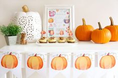 a table topped with pumpkins and cupcakes on top of a white counter