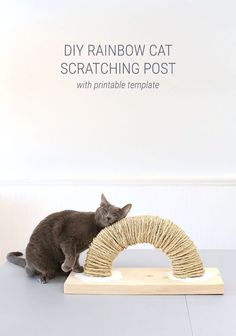 a gray cat sitting on top of a table next to a scratching post