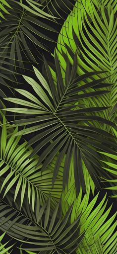 green palm leaves on a black background