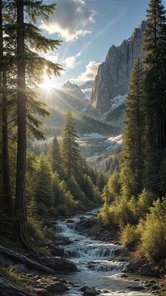 the sun shines brightly through the trees over a mountain stream that runs between tall pine trees