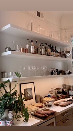 a kitchen counter with wine glasses and bottles on the shelves above it, next to a potted plant