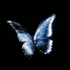 a blue butterfly flying through the air