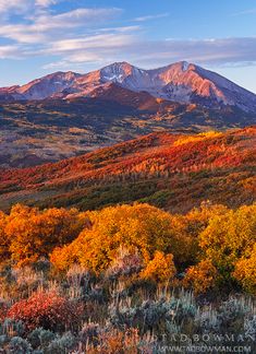 the mountains are covered in autumn foliage and trees with orange, yellow, and green leaves