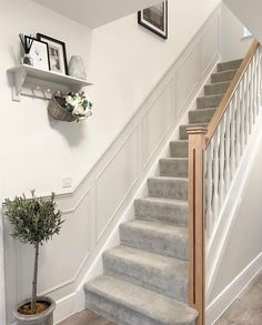 there is a potted plant on the stairs next to the bannister in this house