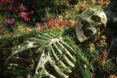 a skeleton laying in the grass surrounded by flowers