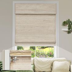 a living room scene with focus on the blinds