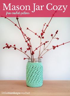 a mason jar with branches in it and the words mason jar cozy written on top