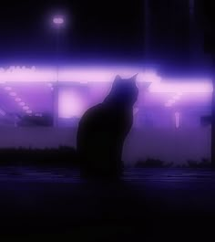 a cat sitting in front of a building with purple lights on it's side