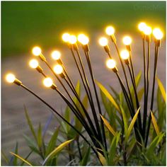 some lights that are sitting in the grass