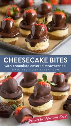 mini cheesecakes topped with chocolate covered strawberries with text overlay Cheesecake Bites. Dipped Strawberries, Chocolate Strawberry, Strawberry Cheesecake, Chocolate Dipped, Dessert Ideas, Strawberries, Cheesecake, Valentine's Day, Dessert