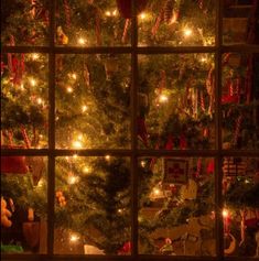 a christmas tree is seen through a window