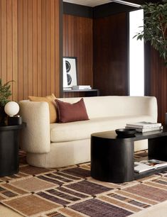 a living room filled with furniture and a potted plant