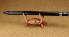 a toy crab holding a large black pen on top of it's back legs