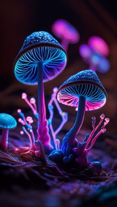 Bioluminescent Mushrooms, Mushroom Stone, Fungi Art, Glowing Mushrooms, Drawing Aesthetic, Psychadelic Art, New Retro Wave