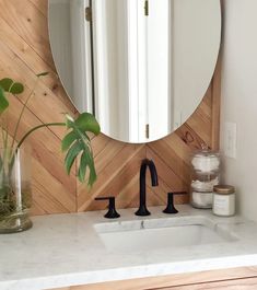 a bathroom sink with a round mirror above it and a potted plant on the counter