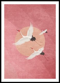 three white birds flying in the air over a pink background with an orange circle around it