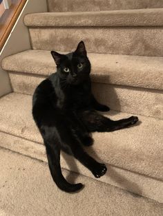 a black cat is sitting on the stairs