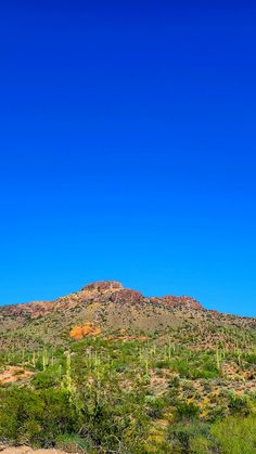 the desert is full of cactus trees and tall mountains in the distance are blue skies