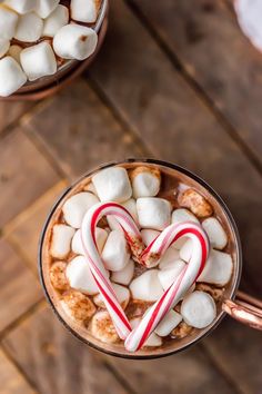 We LOVE Slow Cooker Peppermint Hot ChocolateMade with sweetened condensed milk so its SUPER CREAMY crockpot hot chocolateThe perfect Winter drink for Christmas Creamy Crockpot Hot Chocolate, Slow Cooker Hot Chocolate Recipe, Candy Cane Experiment, Candy Cane Game, Candy Cane Heart, Christmas Candy Cane Decorations, Chocolate Videos, Candy Cane Cards, Candy Pictures